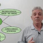 Hubris sindrome