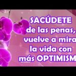 Tipos de inteligencia test