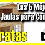Empatia juegos