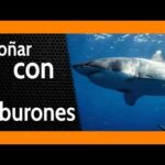 Porque los hombres se levantan con el miembro erecto