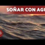 Como es la violencia psicologica