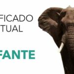 Autoestima frases de psicologia