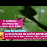 Superdotados problemas
