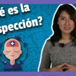 Tipos de inteligencia test