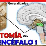 Benzodiazepinas listado
