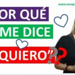 Area de broca y wernicke