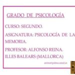 Inteligencia interpersonal