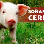Preguntas incomodas para amigos