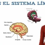 Frases de tristeza