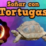 Frases bonitas para tu crush