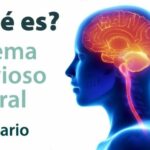 Porque dejamos de sentir amor