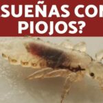 Frases bonitas cortas de la vida