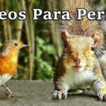 Frases de la vida originales