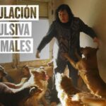 Significado de sueños con familiares muertos