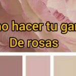 Frases buenas buenas