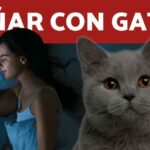 Soñar con guerra
