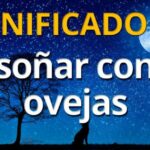 Las emociones que nos enferman