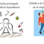 Cerebelo partes