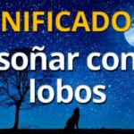 Alternativas a estudiar una carrera