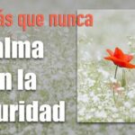 Frases con connotaciones positivas comportamiento