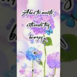 Autoestima alta positiva frases