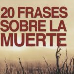 Frases bonitas sobre la positividad