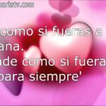 Frases de convivencia positiva