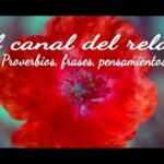 Frases motivacion trabajo positivas
