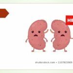 Leyes de alimentacion saludable