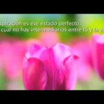 Frases de ser positiva en la vida
