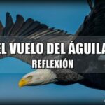 Frases con connotaciones positivas comportamiento
