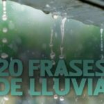 Decir frases en positivo