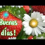 Conocer personas frases positivas