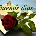 Conocer personas frases positivas