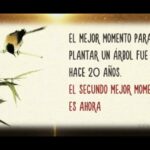 Feliz sabado con frases de la vida positivas