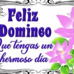 Auto frases positivas