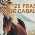 Frases de pensamiento positivo con imagenes