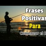 Frases con adjetivos positivos