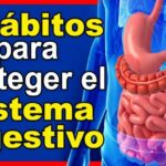 Leyes de alimentacion saludable