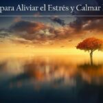 Conocer personas frases positivas