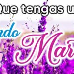 Autoestima alta positiva frases
