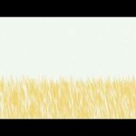 Programa de alimentacion saludable