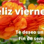 Frases de cambio positivo con imagen