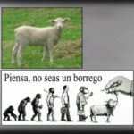 Frases celebres sobre las acciones positivas