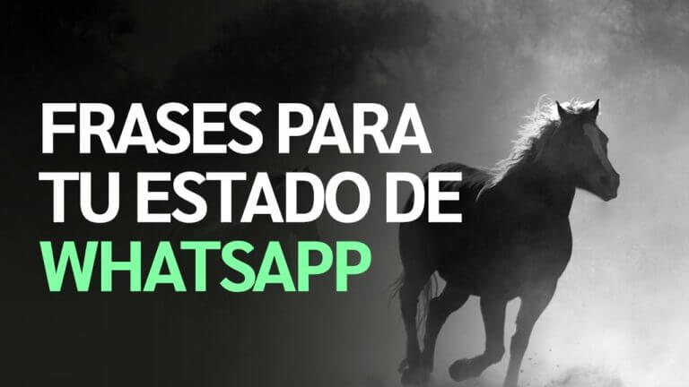 Frases bonitas positivas para estado de whatsapp