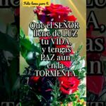 Frases mentales positivas