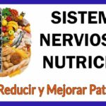 Programa de alimentacion saludable