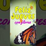 Frases de convivencia positiva