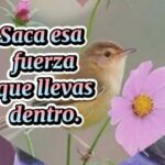 Buenos dias actitud positiva frases