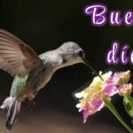 Feliz sabado con frases de la vida positivas
